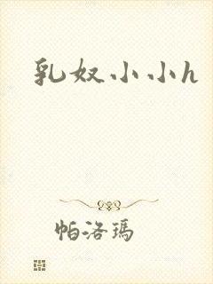 乳奴小小h