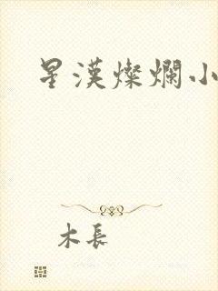 星汉灿烂小说封面