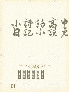 小诗的高中成长日记小说免费阅读