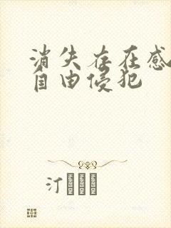 消失存在感消失自由侵犯