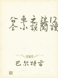 公车之狼12集全小说阅读封面