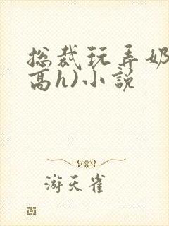 总裁玩弄奶头(高h)小说