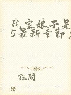 我家娘子是古人5最新章节免费下载封面