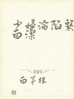少妇沦陷系列之白洁