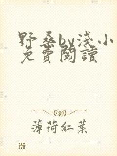 野桑by浅小说免费阅读