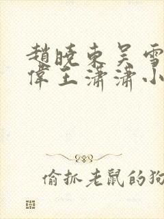 赵晓东吴雪晴郑伟王潇潇小说