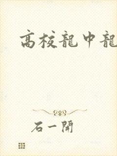 高校龙中龙