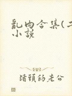 乱肉合集(二)小说