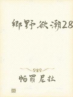 乡野欲潮28章