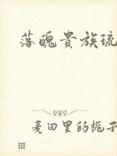 落魄贵族琉璃川封面