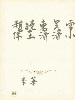 赵晓东吴雪晴郑伟王潇潇小说名字封面