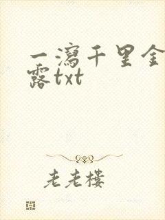 一泻千里金银花露txt