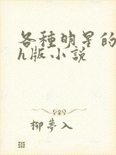 各种明星的综艺h版小说