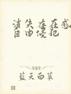 消失存在感消失自由侵犯