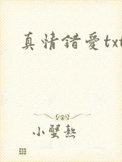 真情错爱txt