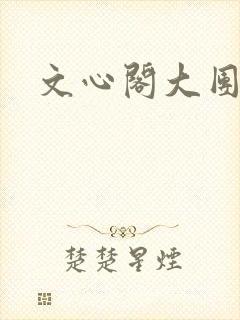 文心阁大团结封面