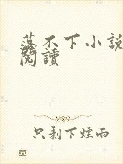 落不下小说免费阅读