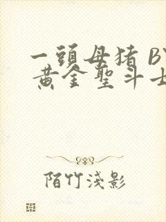 一头母猪 BY 黄金圣斗士封面