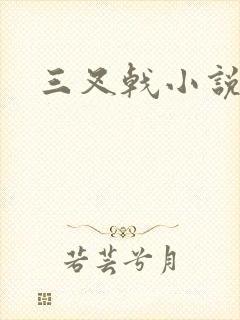 三叉戟小说封面