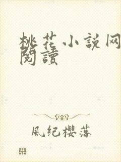 桃花小说网小说阅读封面