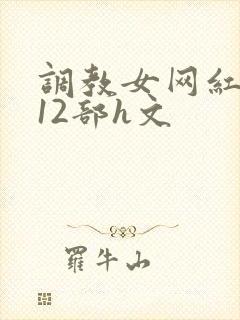 调教女网红1～12部h文