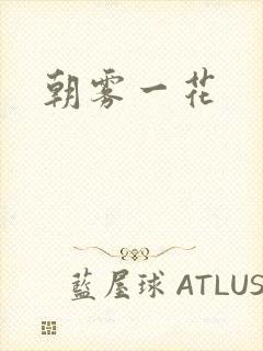 朝雾一花封面