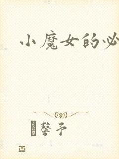 小魔女的必杀技封面