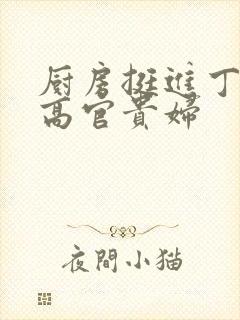 厨房挺进丁字裤高官贵妇