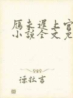 雁未迟上官穿越小说全文免费阅读封面