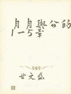 月月与公的激情1一5章封面