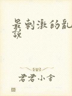 最刺激的乱岳小说封面