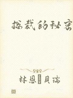 总裁的秘密情人