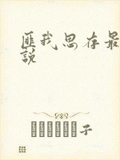 匪我思存最新小说