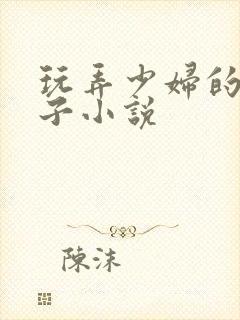 玩弄少妇的大奶子小说