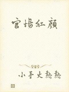 官场红颜封面