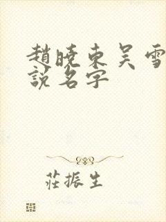 赵晓东吴雪晴小说名字