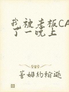 我被老板CAO了一晚上