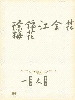 徐锦江金花瓶楷梅花封面