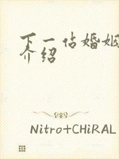 下一站婚姻剧情介绍