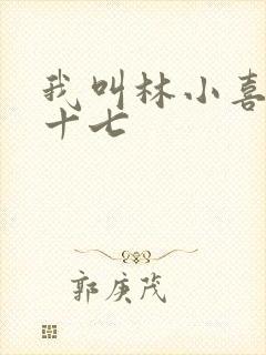 我叫林小喜今年十七封面