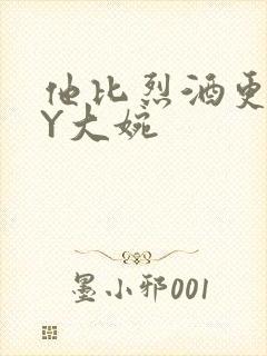 他比烈酒更撩BY大婉