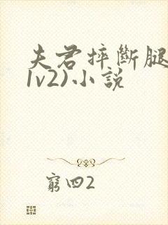 夫君摔断腿后(1v2)小说