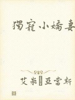 独宠小娇妻
