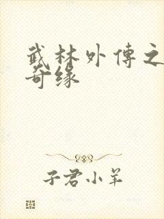 武林外传之同福奇缘封面