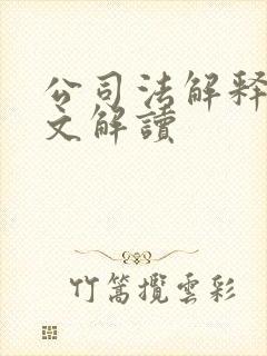 公司法解释五全文解读封面