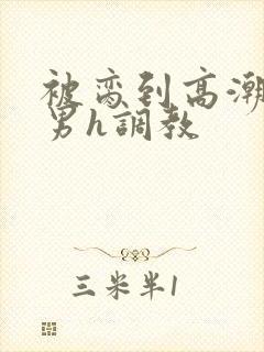 被脔到高潮的直男h调教