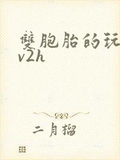 双胞胎的玩具1v2h