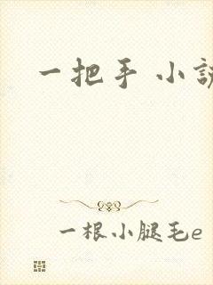 一把手 小说