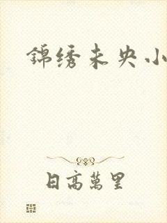 锦绣未央小说