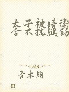 太子被暗卫c到合不拢腿的后果封面